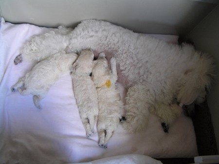 ...a když se všichni natáhneme, zaplníme celou bednu...